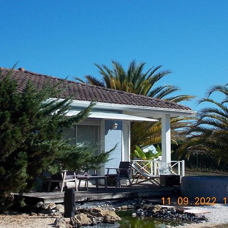 Maison Authentique Avec Spa Pres De Dax Et Son Jardin Angoumé Exterior foto