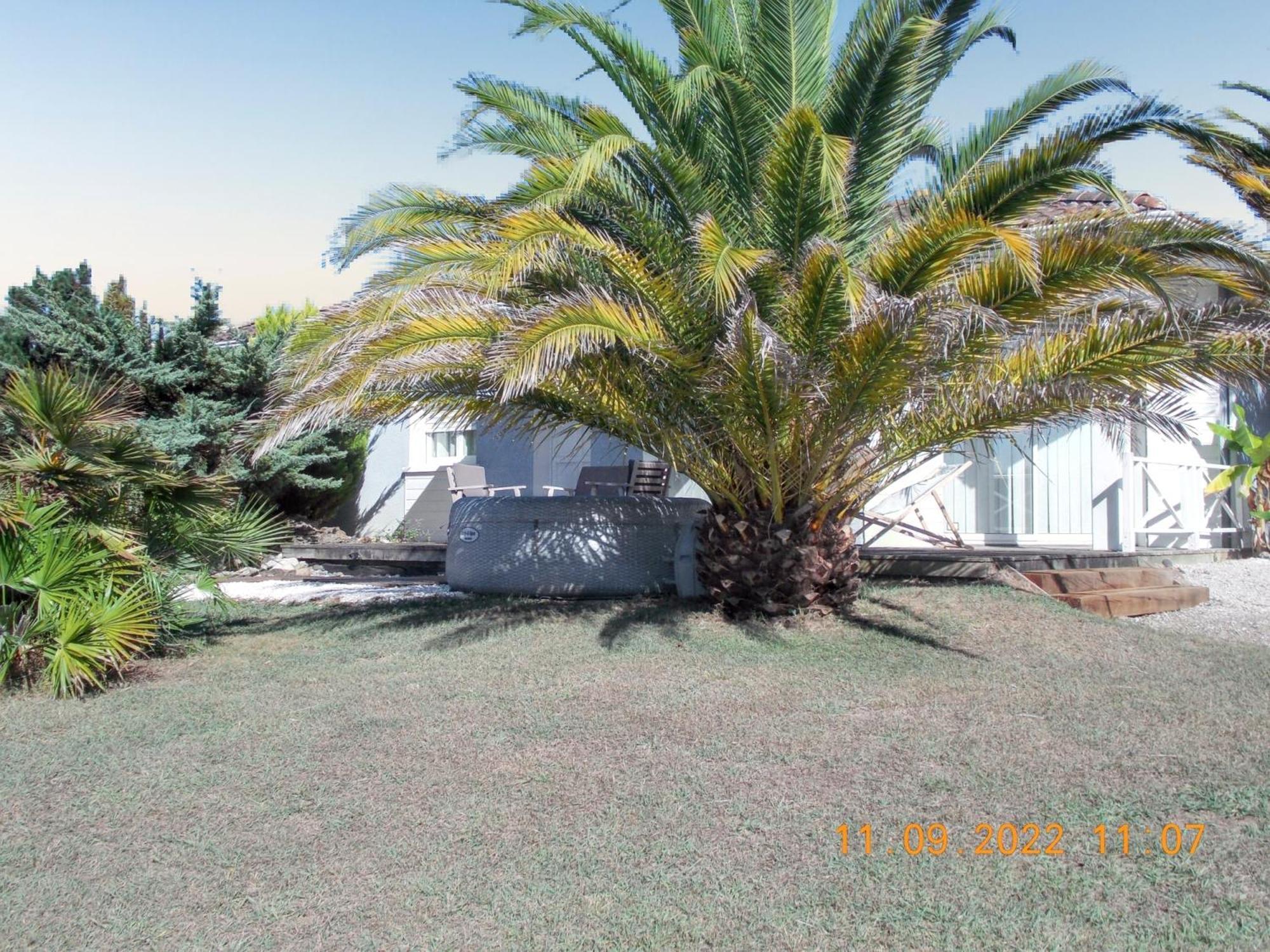 Maison Authentique Avec Spa Pres De Dax Et Son Jardin Angoumé Exterior foto